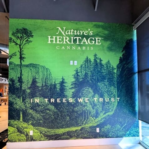 Window & Wall Graphics